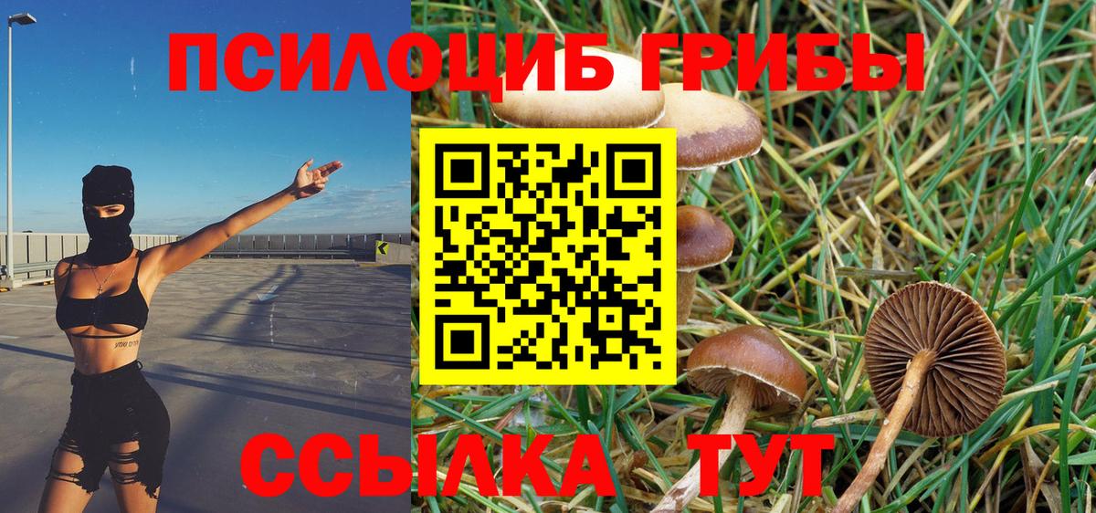 Галлюциногенные грибы Magic Shrooms  Галлюциногенные грибы GOLDEN TEACHER  Елабуга  Вход с VPN 